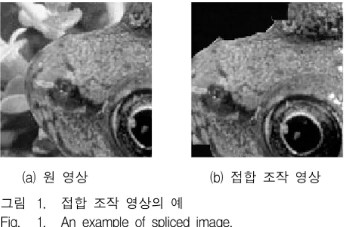 Fig. 1. An  example  of  spliced  image.