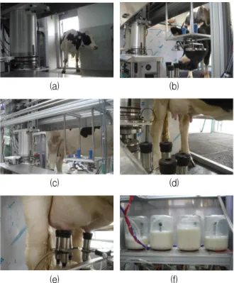 그림 16. 젖소의  착유로봇  매니퓰레이터  동작실험 Fig. 16. The  operating  experiment  of  milking  robot 