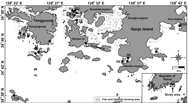 Fig.  1.  A  map  showing  the  study  area  and  sampling  locations  for  analyzing  the  organic  matter  and  trace  metals  in  surface  sediments  from  a  fish  farming  area  in  Tongyoung-Geoje  coast  of  Korea.