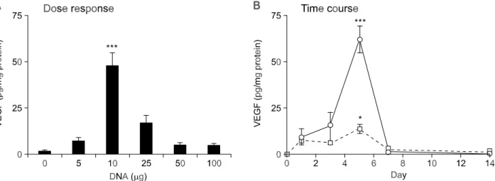 Figure 3. Dose response and time course of the VEGF expression from the naked DNA vector in the rat heart