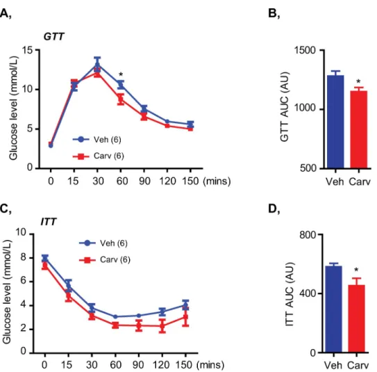 Fig 4. Carvedilol treatment targeting the adrenergic overactivation in HFD-fed mice improved glucose tolerance and insulin sensitivity