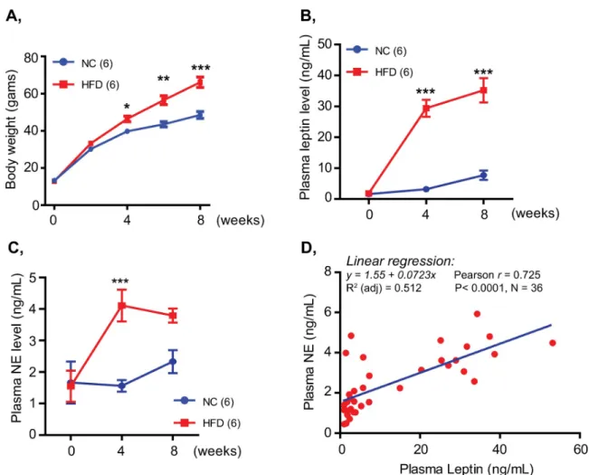 Fig 1. Basal plasma norepinephrine was persistently elevated and highly correlated with plasma leptin in HFD-induced obese mice