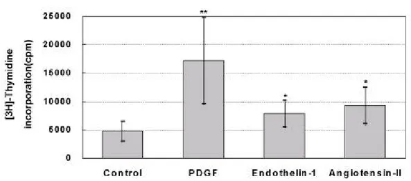 그림 2. PDGF , endoth elin - 1 및 angioten sin - II 이 혈관 평활근세포 증식에 미치는 영향.