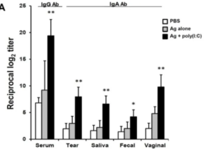 Figure  5.  Long-term  Ag-specific  Ab  production  induction  in  eyedrop  vaccinated  mice