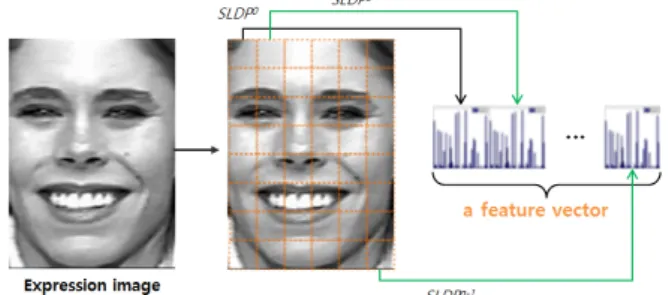 Fig. 7. Expression  image  is  divided  into  small  regions  from  which  SLDP  histograms  are  calculated  and  concatenated  into  a  face  feature  vectors
