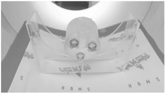 Fig. 2. Micro Phantom.