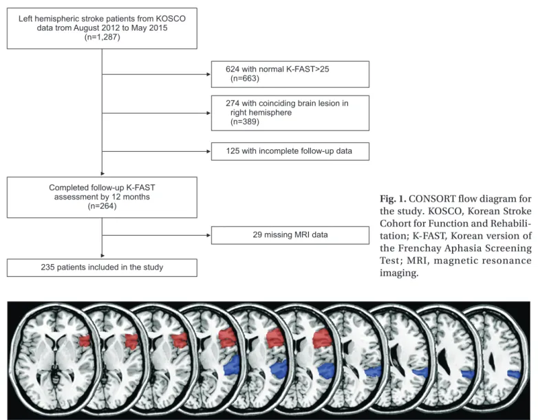 Fig. 2. Magnetic resonance imaging mapping of aphasia-related regions of interest with MRIcro software.