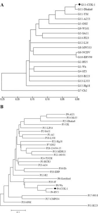 FIG. 1. (A) Phylogenetic tree analysis based on the nucleotide sequences of the VP7 genes (nt 49 to 1026) of strain CUK-1 and strains of other rotavirus G types by use of the neighbor-joining method