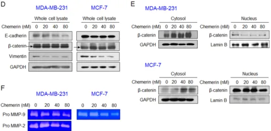 Figure 1. Chemerin suppressed the viability, invasion, and epithelial–mesenchymal transition (EMT) of breast cancer cells