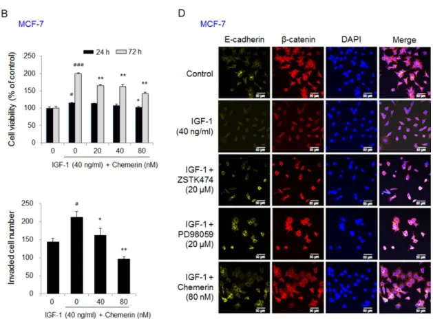 Figure 3. Chemerin suppressed the viability, invasion, and EMT of insulin-like growth factor (IGF)-
