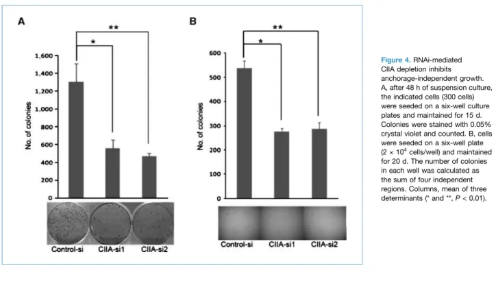 Figure 4. RNAi-mediated CIIA depletion inhibits anchorage-independent growth. A, after 48 h of suspension culture, the indicated cells (300 cells) were seeded on a six-well culture plates and maintained for 15 d