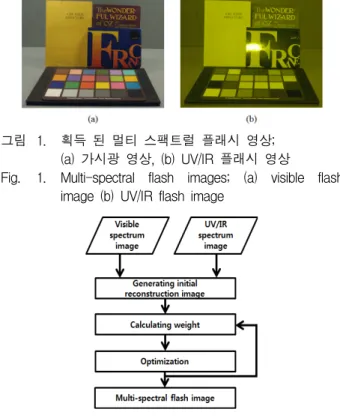 Fig. 1. Multi-spectral  flash  images;  (a)  visible  flash  image  (b)  UV/IR  flash  image