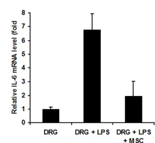 Figure 7. Anti-inflammatory effects of hMSCs in DRG explants. DRG (dorsal 