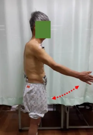 Figure 3. Rapid shoulder flexion task. 