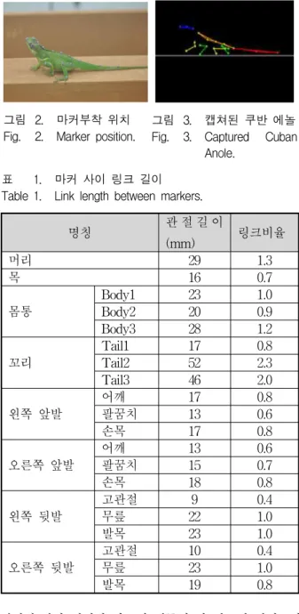 Fig. 2. Marker position. 그림 3. 캡쳐된 쿠반 에놀 Fig. 3. Captured Cuban