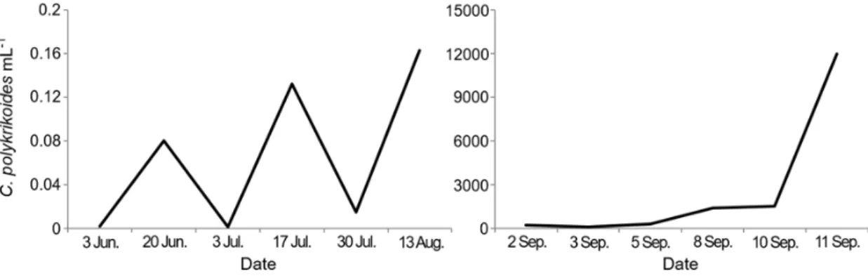 Fig.  2.  Temporal  changes  of  C.  polykrikoides cell  numbers  in  Namhaedo  in  June  to  September  2019  estimated  by  qPCR  (left)  and  light  microscopy  (right)