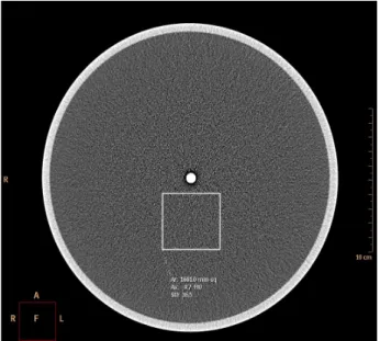 Fig. 6. The ROI is drawn in alignment pin part image for CT noise  test.
