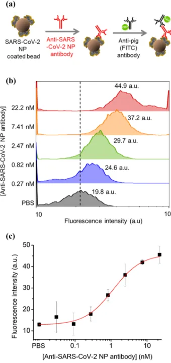 Fig. 2    Binding properties of the isolated anti-SARS-CoV-2 NP anti- anti-bodies from pig sera