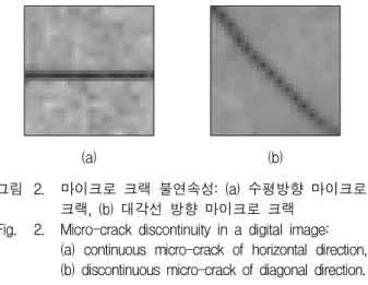 Fig. 2. Micro-crack  discontinuity  in  a  digital  image: 