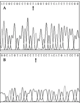 Fig. 2. Missense mutation identified by direct sequencing analysis in both case 1 and 2