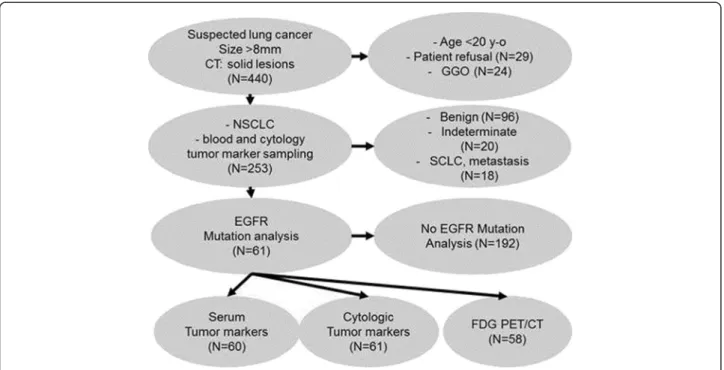 Fig. 1 Study design and patient selection algorithm
