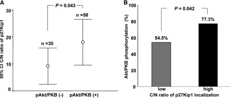 Table 2 Cell cycle distribution according to the C:N a ratio of p27Kip1 localization