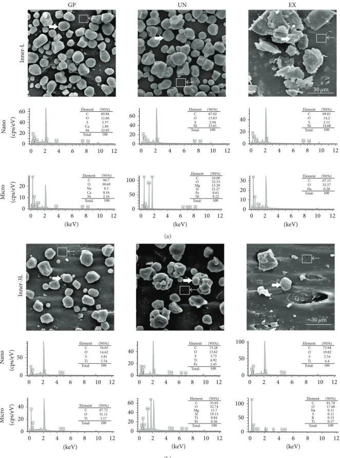 Figure 6: SEM images and elemental analysis using EDS from the (a) “L” and (b) “3L” rubber band inner surface