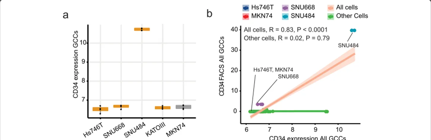 Fig. 3 CD34 expression in the diffuse gastric cancer cell lines. a Microarray gene expression