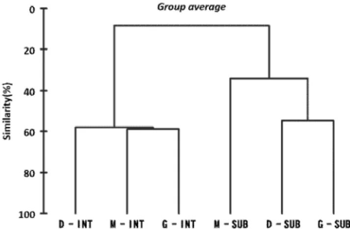 Table  5.  The  comparison  of  the  previous  studies  at  vicinity  area
