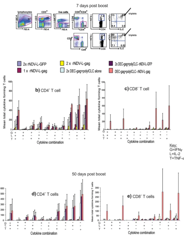 Figure 5. Complementary DEC-gag protein prime rNDV-L-gag boost vaccination induces robust and durable polyfunctional CD4 þ and CD8 þ T cell immunity