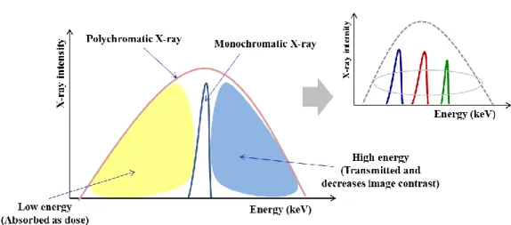 Figure  1.6  Relationship  between  polychromatic  and  monochromatic  X-ray  beams  for  energy and X-ray intensity