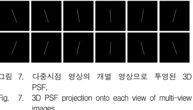 그림 7. 다중시점  영상의  개별  영상으로  투영된  3D  PSF.