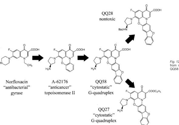 Fig. 12. Evolution of QQ58 from norfloxacin and effects of QQ58 structural modification.