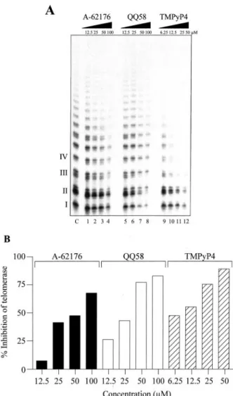 Fig. 4. Inhibition of human telomerase by A-62176, QQ58, and TMPyP4.