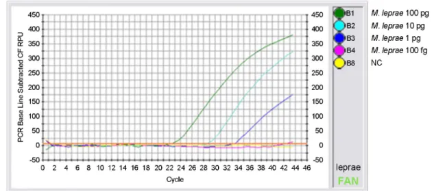 Fig. 1. The sensitivity of the (A) real-time PCR and (B) standard  PCR for detecting M