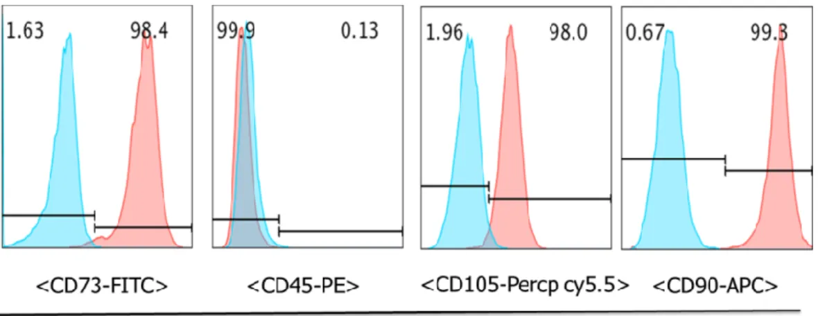 Fig.  12.  Flow  cytometric  analysis  of  the  surface  marker  expression  profile  of  DPSCs