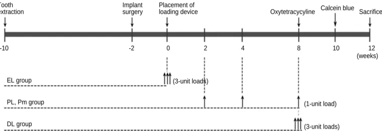 Table 1. The experimental design
