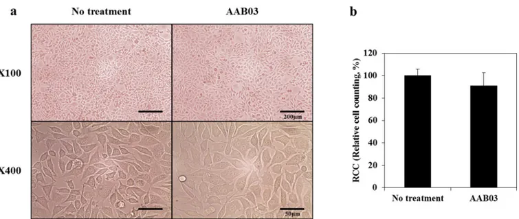 Fig 3. ISO 10993–5 determination of cytotoxicity. (a) Comparison of the viability and morphology of L929 fibroblast cell seeded in control and AAB03