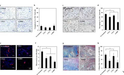 Fig 5. Immunohistochemical staining for the identification of the factors related to adhesion