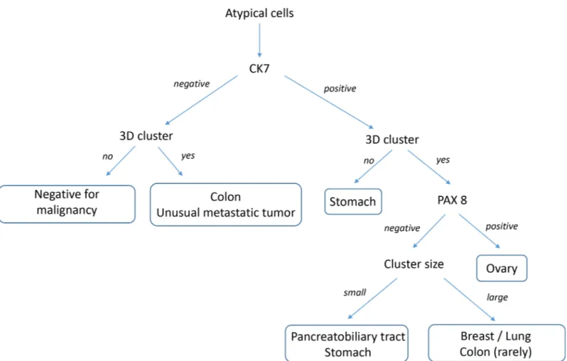 Fig 8. Diagnostic decision tree for peritoneal fluid cytology utilizing cellular cluster and immunocytochemistry patterns to identify primary cancers which have metastatized to peritoneal fluids.