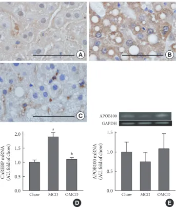 Table 2.  Clinical characteristics of mice after four weeks of 
