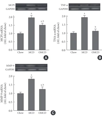 Fig. 3.  Liver histology in mice fed each experimental diet. 