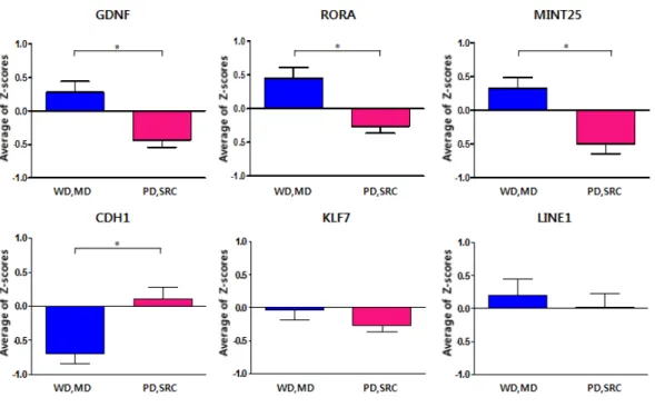 Figure 6. Methylation patterns in validation group for intestinal and diffuse type (* P ＜ 0.05).