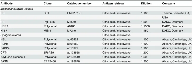 Table 1. Source, clone, and dilution of used antibodies.