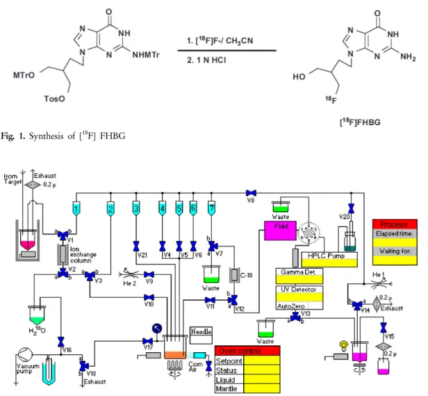 Fig. 2. Explora-RN module for automatic synthesis 본 연구는 간암 세포 중에서 HSV1-tk 보고 유전자의 기질로서 가장 많이 사용되어지고 있는 [18F] FHBG의 합성 자동화를 완성하기 위하여 진행하였다