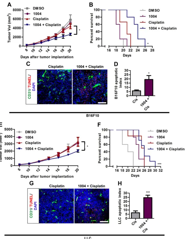 Figure 3: Sac-1004 augments the tumor-growth suppressing effect of cisplatin in tumor-bearing mice