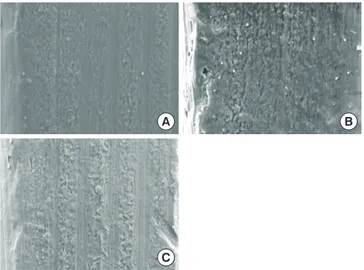 Fig. 2 shows SEM micrographs of the unused CPMS im- im-plant and two of the removed imim-plants (0-NI, 2-NI)