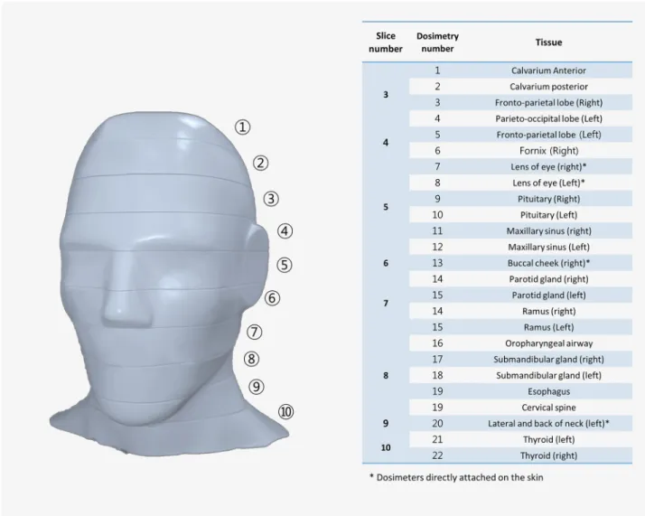 Fig 2. The location of optically stimulated luminescent dosimeters (OSLD) in an adult head and neck phantom (ATOM; CIRS, Norfolk, VA, USA) with the slice number of the phantom.