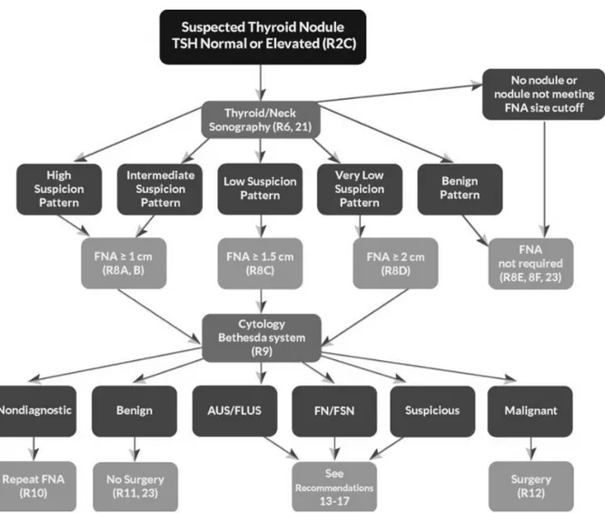 Figure 2.  Algorithm  for evaluation and  management  of patients  with thyroid  nodules  based  on  US  pattern and FNA cytology (Thyroid