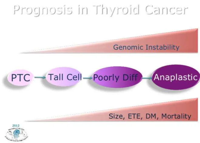 Figure 6. The prognosis system in current therapy of the thyroid cancer. Thyroid cancer by J